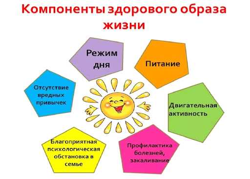 10 правил здорового образа жизни ребенка — как правильно вести ребенка к здоровью