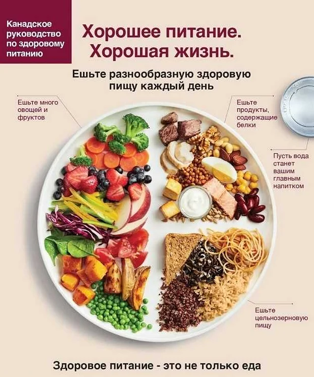 10 важных фактов о спортивном питании — всё, что вам необходимо знать для достижения спортивных целей