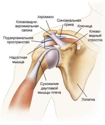  Физиотерапия и медикаментозное лечение боли в плече 