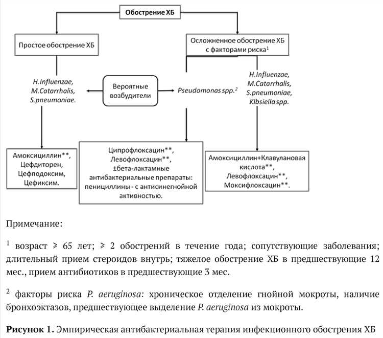 Постепенное возвращение к спортивным нагрузкам после перенесенного бронхита