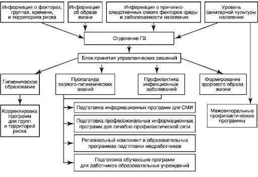 Гигиеническое воспитание здорового образа жизни — 9 ключевых принципов и 12 практических рекомендаций, которые помогут укрепить иммунитет и сохранить баланс в организме!