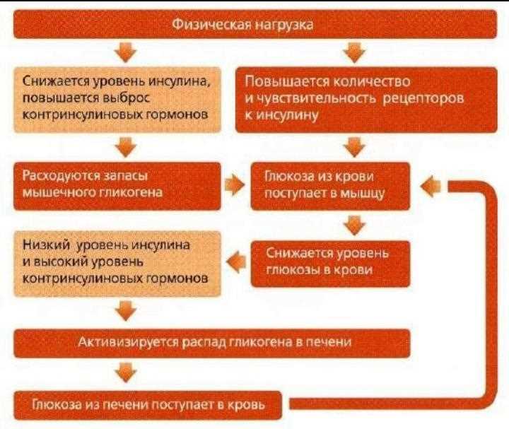 Как кислород поддерживает работу организма во время физических нагрузок — важность свободного потока кислорода для эффективной тренировки