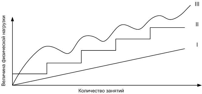 Как правильно подсчитать физическую динамическую нагрузку основные принципы