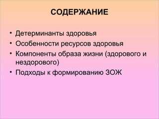 Как сформировать мотивацию к здоровому образу жизни — 7 секретов успеха