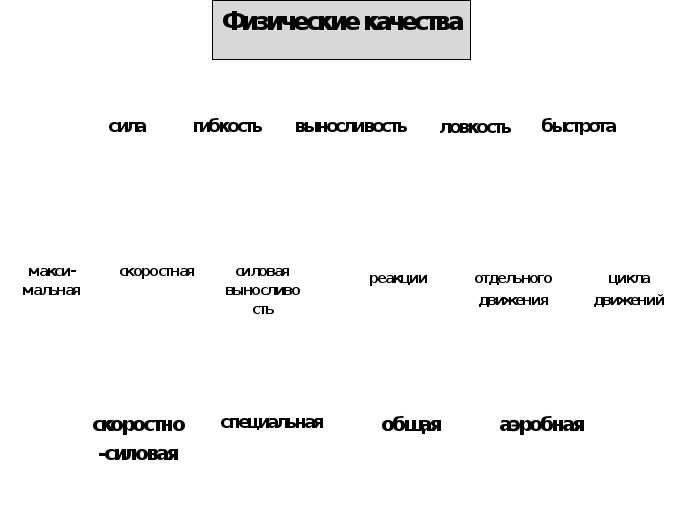 Классификация спортивных упражнений — виды, характеристики и преимущества различных тренировок для достижения физической формы