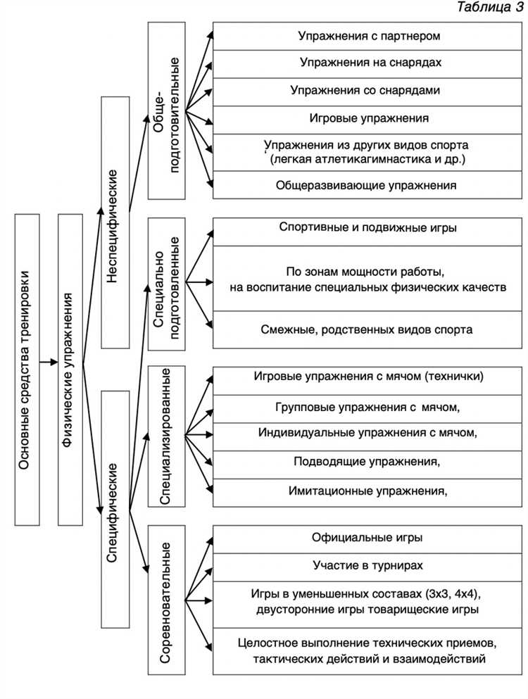 Компоненты физической нагрузки — 7 основных составляющих для оптимального тренировочного эффекта