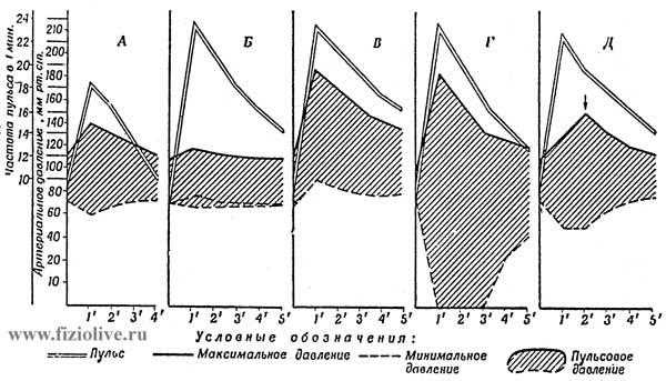 Симптомы и проявления