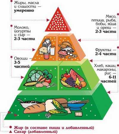 Рацион и полезные продукты — советы по питанию для больных и здоровых