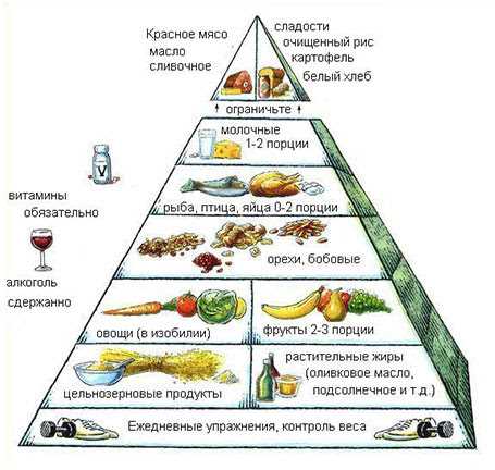 Правила здорового питания — читайте книгу «Изучи на стр 137» для полного раскрытия