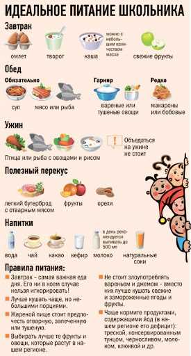 Продукты для здорового питания – всё, что вам нужно знать о сбалансированной диете