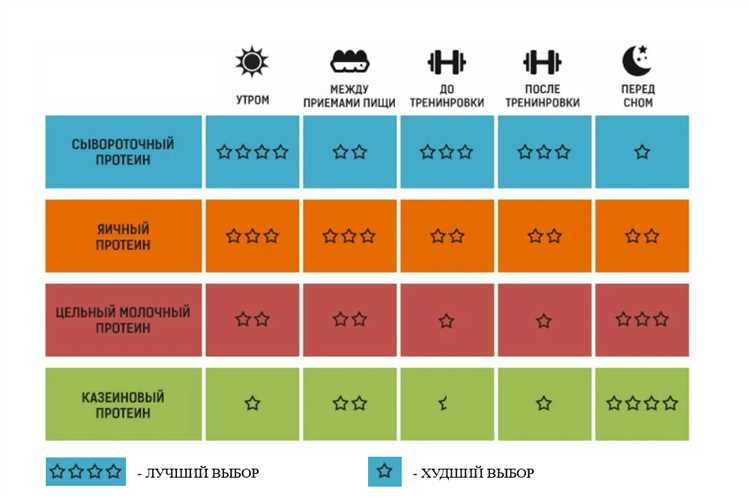 Разновидности протеина в спортивном питании — как выбрать оптимальный белок для максимальных результатов тренировок