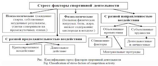 Преодоление страха физической нагрузки — эффективные способы достижения результатов и настройка на успех