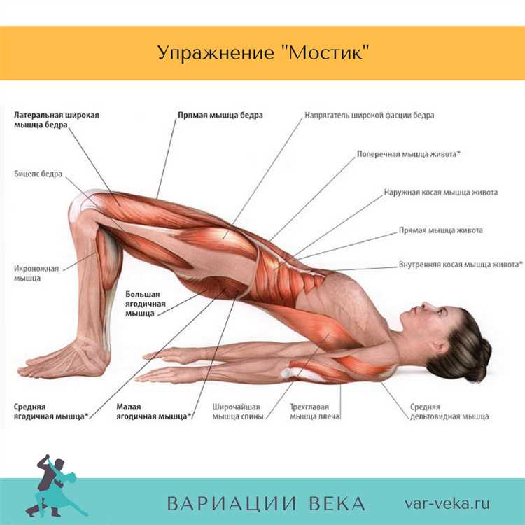 Танцевально-спортивные упражнения — основные принципы и нюансы техники, которые помогут вам стать профессиональным танцором