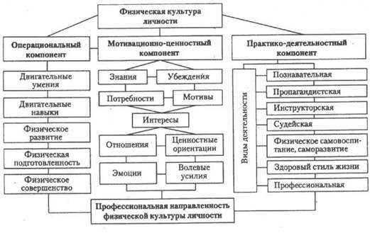 Значение правильного отдыха