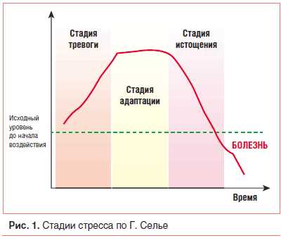 Реакция кровообращения на физическую нагрузку у неподготовленных людей