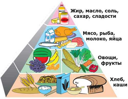 Влияние здорового питания на экологию — открытия науки и практические советы для сохранения окружающей среды