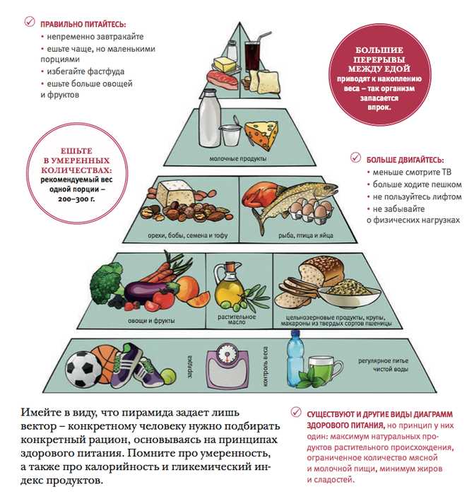 Основные принципы здорового питания