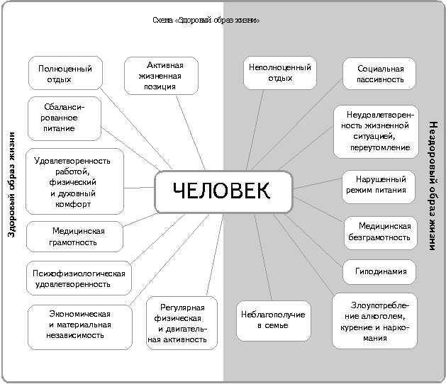 Здоровый образ жизни — ключ к долголетию и успеху — мастерим превосходное эссе с умелым расписанием