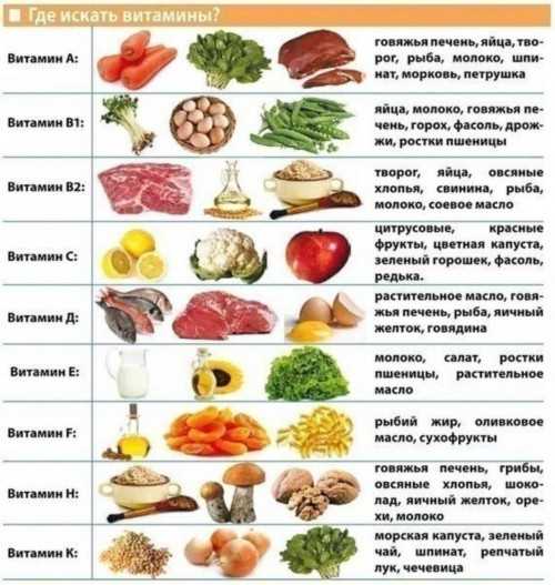 Разнообразие пищевых продуктов