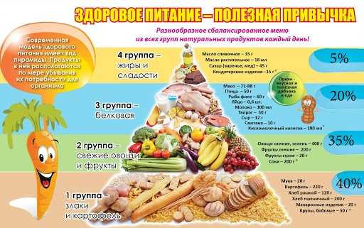 Какие продукты богаты белком?