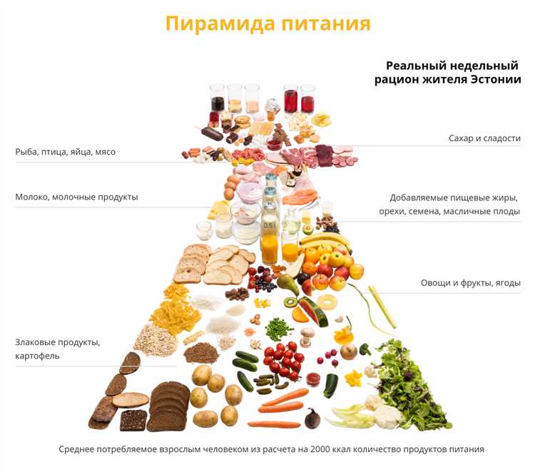 Питание как фактор для поддержания здорового образа жизни